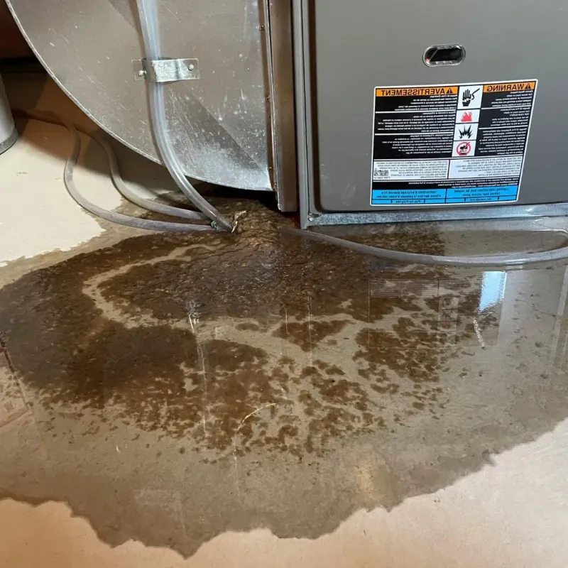 Pipe Burst and Leak Restoration in Calloway County, KY