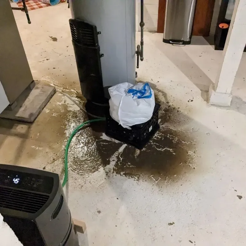Sewage Backup Cleanup Service in Calloway County, KY